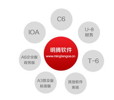 成都明騰網(wǎng)絡(luò) 引領(lǐng)四川網(wǎng)站建設(shè)與設(shè)計(jì)制作的專業(yè)力量